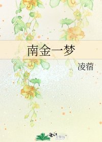 南金一梦
