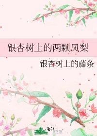 银杏树上的两颗凤梨